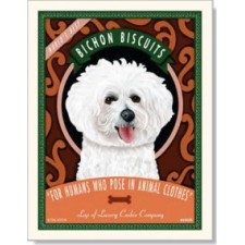 Dog Bichon - Bichon Biscuits